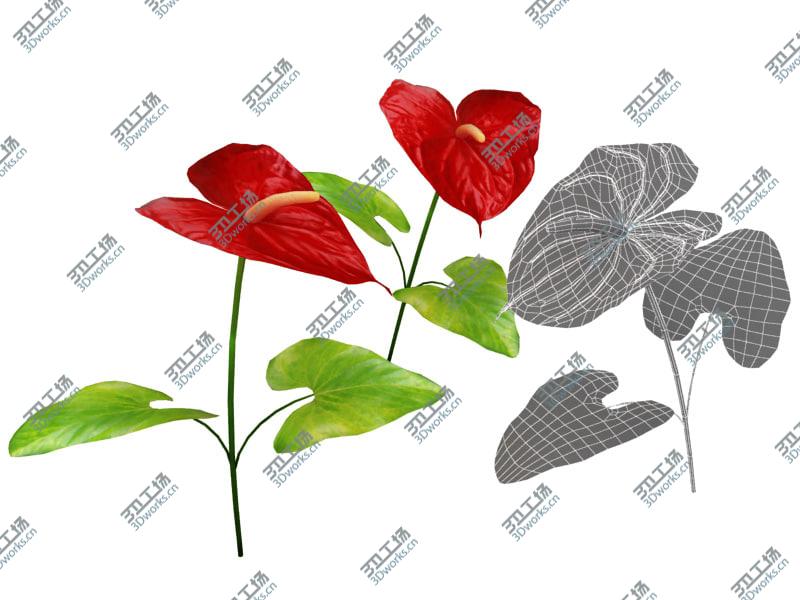 images/goods_img/2021040232/Flowers Collection V3/4.jpg